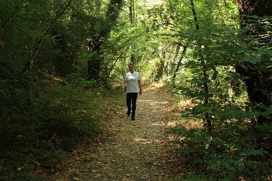 Tour image 1