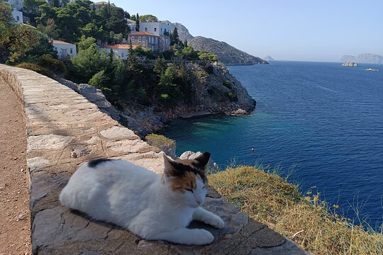Tour image 9